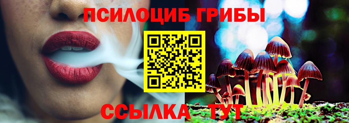 Псилоцибиновые грибы Psilocybe  Вход с VPN  Норильск  Галлюциногенные грибы Magic Shrooms 